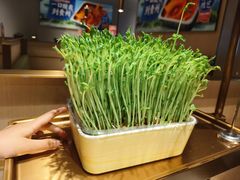 -海底捞火锅(龙湖北京大兴天街店)