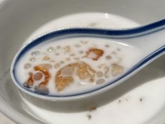 椰汁西米露炖桃胶-肥仔文澳门猪骨煲(南京西路店)
