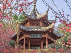 -南京珍珠泉风景区