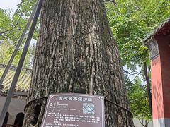 -南阳卧龙岗武侯祠