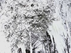-沂蒙山旅游区云蒙景区(蒙山国家森林公园)