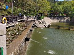 -北岭山森林公园