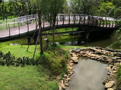 -王借岗森林公园