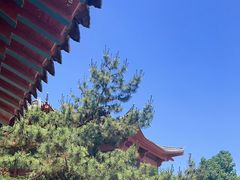 -刘公岛景区