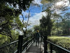 -广州市帽峰山景区