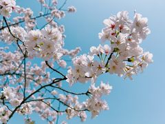 -苏州上方山国家森林公园