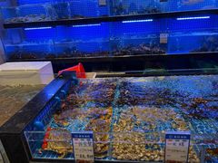 -一麦·龙岛(上海青浦店)