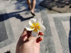 -会安古镇