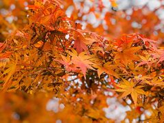 -狼山风景名胜区