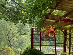 -元大都城垣遗址公园