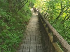 -圣莲山风景区