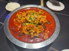 -美蛙四季(黄寺大街店)