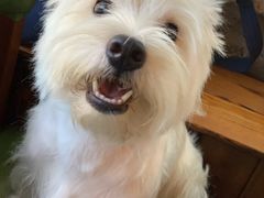 -荣德灶台鱼(圣泉寺店)