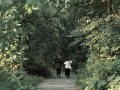 -中国科学院华南植物园