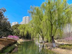 -白塘生态植物园