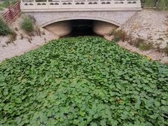 -卢沟桥文化旅游区(卢沟桥)