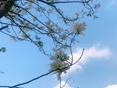 -天河体育中心