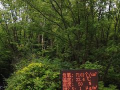 -五营国家森林公园