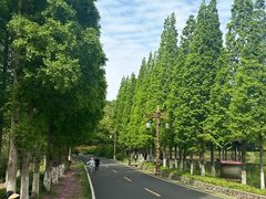 -宜兴龙背山森林公园