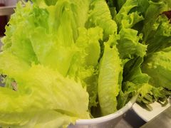 来亿点生菜-生活如沸·顺德水牛奶火锅(大学路店)