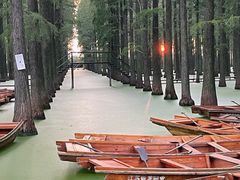 -渌洋湖湿地公园