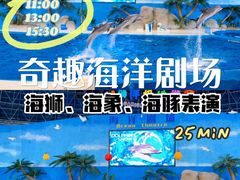 -泉城欧乐堡海洋极地世界
