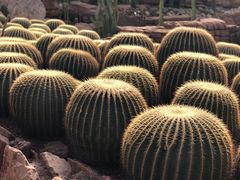 -南通洲际绿博园