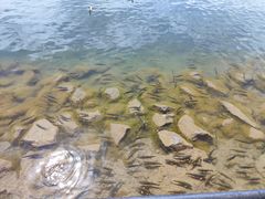 -青海湖二郎剑景区