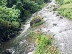 -藏龙百瀑风景区