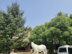 -长春净月潭风景名胜区