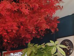 -老周家酱卤猪蹄私房菜(克拉玛依西街店)