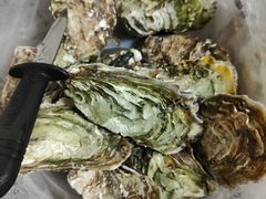 -爱蚝屋