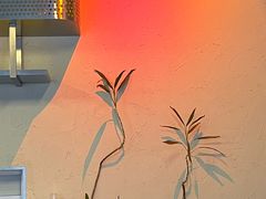 -Blac+Blac(中海环宇荟店)