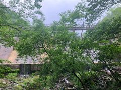-天明山温泉大酒店