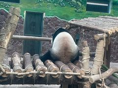 -黔灵山公园