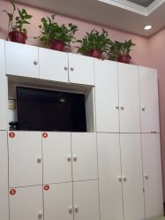 -香薇妮丝·定制减肥·身材管理