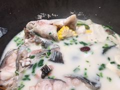 鲜潭蒸汽石锅江团鱼-鲜潭蒸汽石锅鱼(五道口购物中心店)