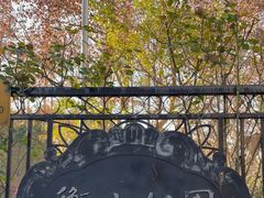 -徐家汇源景区-衡山公园