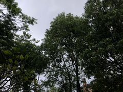 -白石龙音乐公园