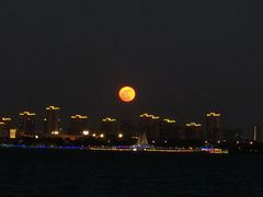 -金鸡湖景区