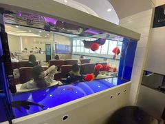 -深圳富茂格伦菲尔口腔门诊部(龙华清湖总院)