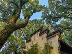 -天一阁博物院