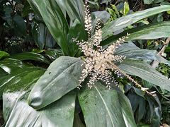 -郑州植物园