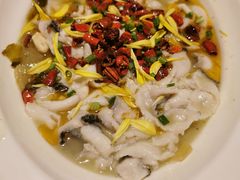 -茅庐毛血旺(烟台大悦城店)
