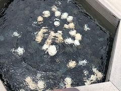 -息烽温泉