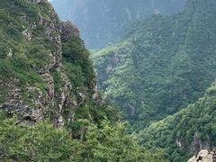 -牛背梁国家森林公园