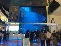 -迪拜水族馆及水下动物园