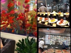 -骏莱海鲜鱼港(五角场店)