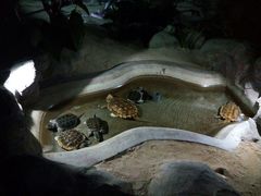 -泉城欧乐堡海洋极地世界