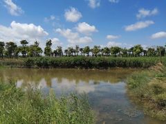 -春花秋色城市公园